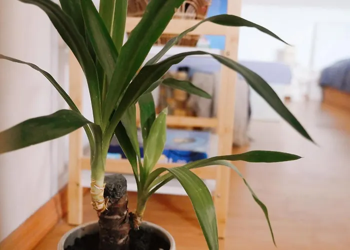 Apartmán U Slunských Valtice